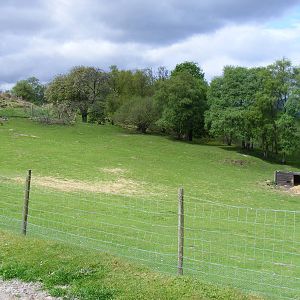 Enclosure for deer, wallabies and greater rheas at Auchingarrich Wildlife C