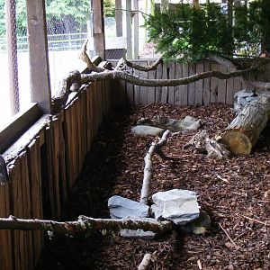 Kookaburra enclosure at Auchingarrich Wildlife Centre, 20 May 2010
