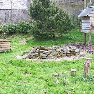 Coatimundi enclosure at Auchingarrich Wildlife Centre, 20 May 2010