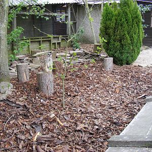 Meerkat enclosure at Auchingarrich Wildlife Centre, 20 May 2010