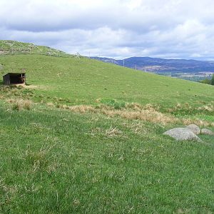 Fallow deer enclosure at Auchingarrich Wildlife Centre, 20 May 2010