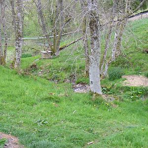 Asian short-clawed otter enclosure at Auchingarrich Wildlife Centre, 20 May