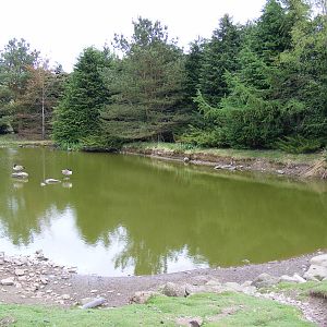 Pond at Auchingarrich Wildlife Centre, 20 May 2010