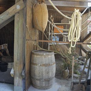 American Red Squirrel exhibit at Hannovers Yukon Bay.