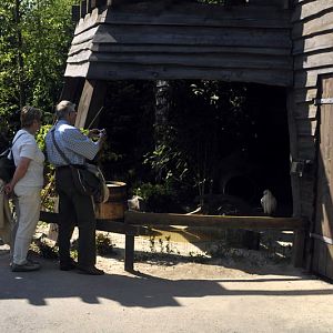 Snowy-owl exhibit at Hannovers Yukon Bay.