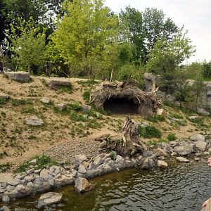 Wolfcreek at Hannovers Yukon Bay.