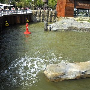 Big polarbear enclosure at Hannovers Yukon Bay.