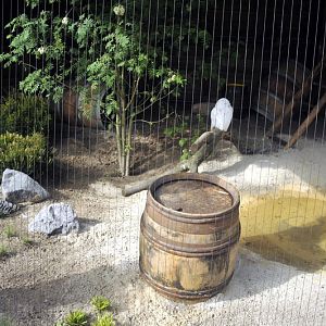 Snowy-owl-enclosure at Hannovers Yukon Bay.