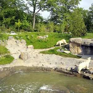 Smaller polarbear enclosure at Hannovers Yukon Bay.