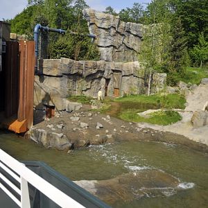 Smaller polarbear enclosure at Hannovers Yukon Bay.