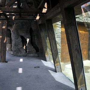 Big polarbear enclosure at Hannovers Yukon Bay.