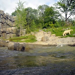 Smaller polarbear enclosure at Hannovers Yukon Bay.