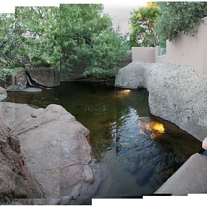 summer Saturday nights