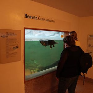 summer Saturday nights