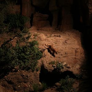 summer Saturday nights