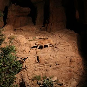 summer Saturday nights