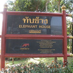 Elephant House signage