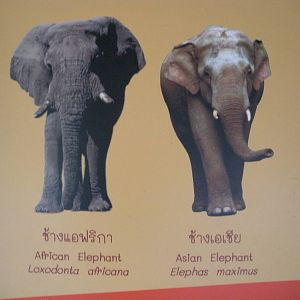 Comparison signage