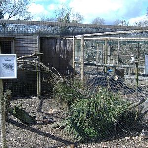 axe valley bird and animal park