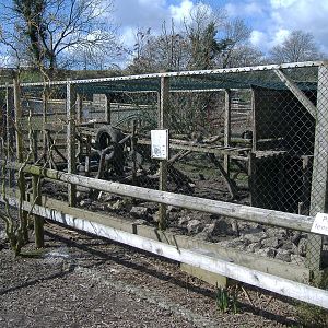 axe valley bird and animal park