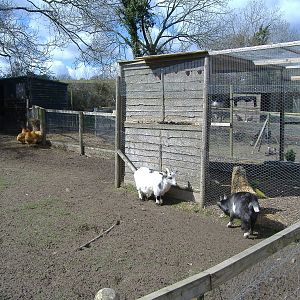 axe valley bird and animal park