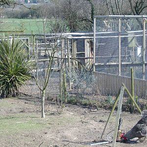 axe valley bird and animal park