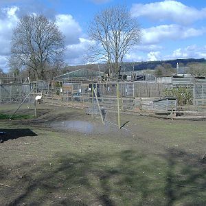 axe valley bird and animal park