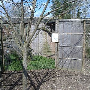 axe valley bird and animal park