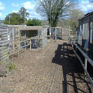 axe valley bird and animal park