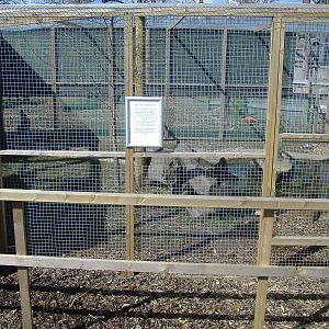 axe valley bird and animal park