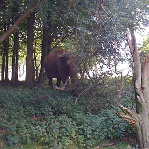 A advertisement for free contact.