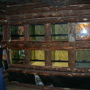 Reptile Exhibits at Land of Little Animals, Omagh.
