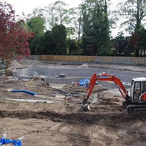 New penguin pool at Flamingo Land