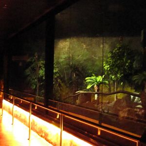 World of Darkness - Australian exhibit