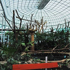 New Madagascar house 28.06.10.