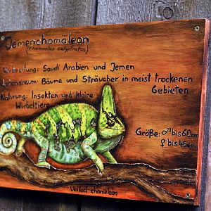 Chameleon-sign at Hagenbeck