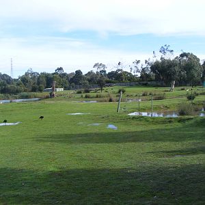 Moonlit Sanctuary - June, 2010