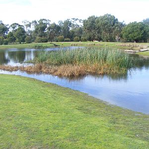 Moonlit Sanctuary - June, 2010