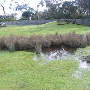 Moonlit Sanctuary - June, 2010