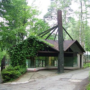 Patas Monkey exhibit at Olomouc 30/05/10