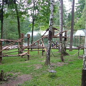 Patas Monkey exhibit at Olomouc 30/05/10