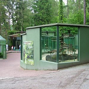 Sun Bear exhibit at Olomouc 30/05/10