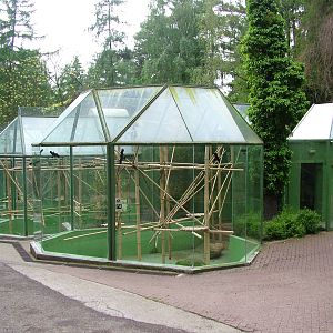 Primate House at Olomouc 30/05/10