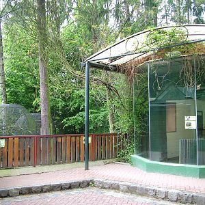 Pygmy Hippo exhibit at Olomouc 30/05/10