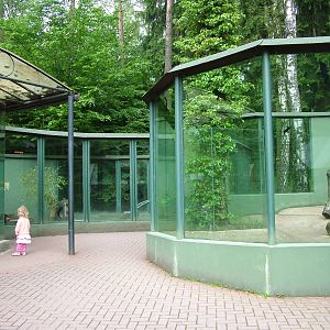 Sun Bear exhibit at Olomouc 30/05/10
