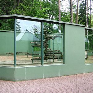 Sun Bear exhibit at Olomouc 30/05/10