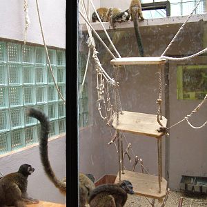 Primate House at Olomouc 30/05/10