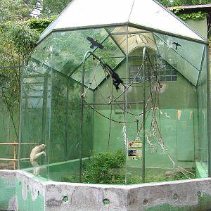 Primate House at Olomouc 30/05/10