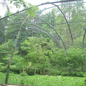 Donut Flight Aviary at Olomouc 30/05/10