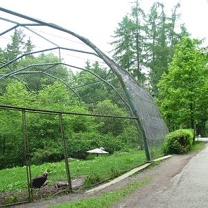 Donut Flight Aviary at Olomouc 30/05/10
